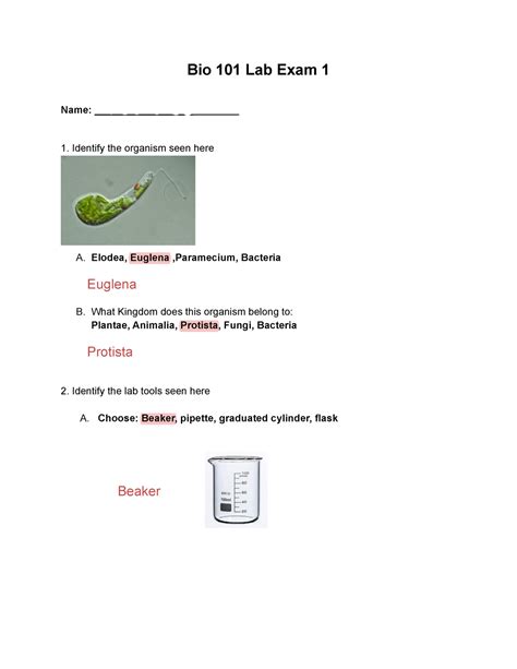 Kami Export Bio Lab Exam Spring Bio Lab Exam