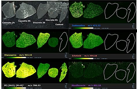 Desi Ms Imaging For Biomedical Research