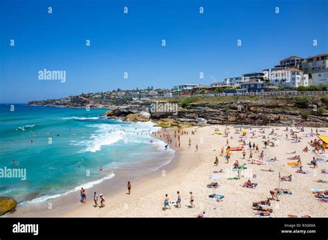 Tamara Beach And Coastline Towards Bondi Beach Sydney Eastern Suburbs