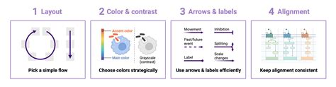 Mastering Graphical Abstracts Top Design Tips For Researchers Biorender