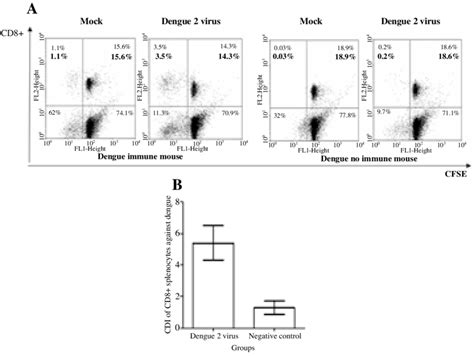 Cd8 Spleen Cell Proliferative Response To Dengue Virus Cfse Stained