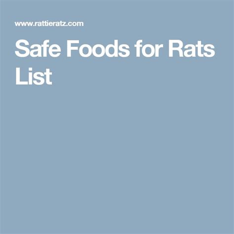 Safe Foods For Rats List Safe Food Rats Rat Care