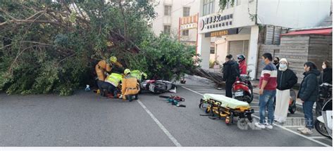 台中吹強風！路樹傾倒壓2機車 3騎士受傷送醫 社會萬象 生活 Nownews今日新聞