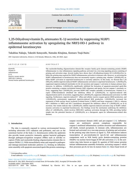 Pdf Dihydroxyvitamin D Attenuates Il Secretion By