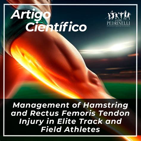 Artigo Cient Fico Management Of Hamstring And Rectus Femoris Tendon