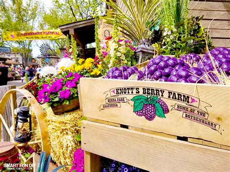 Boysenberry Festival At Knotts Berry Farm Smart Fun Diy