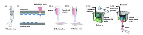 3D Bioprinting Technologies I Extrusion Bioprinting Ii