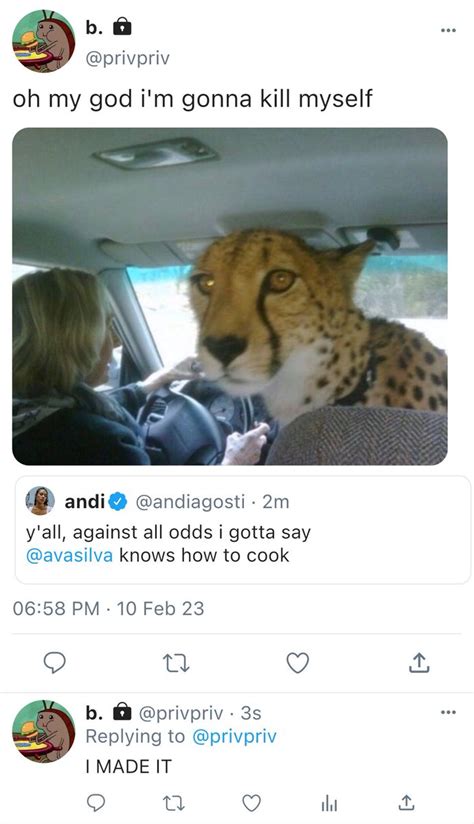 Bela On Twitter You Re So Gay