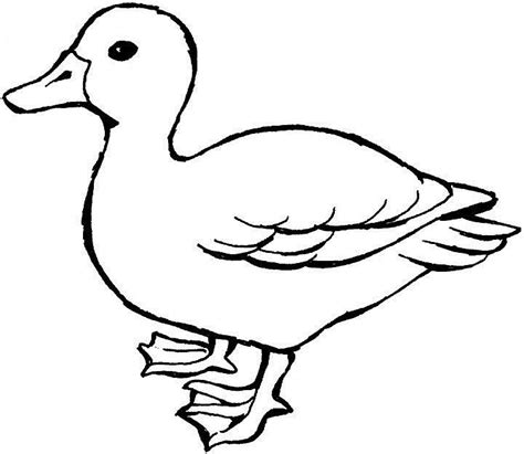 Duck Outline | Free download on ClipArtMag