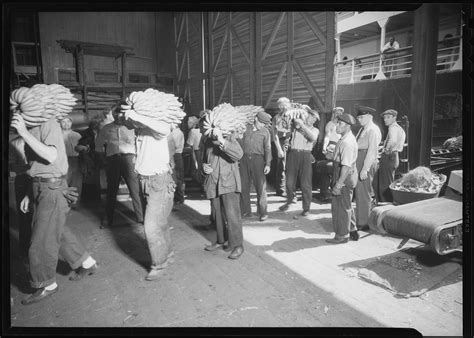 Longshoremen Part Ways With Major Labor Union In Support Of Single