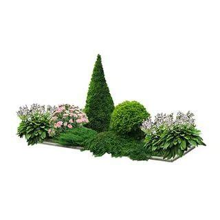 линейная композиция из деревьев и кустарников: 6 тыс изображений ...