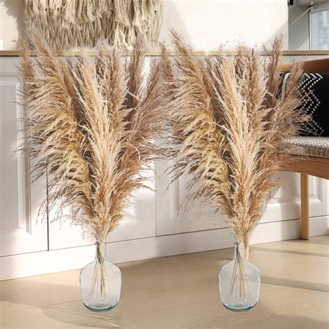 Stems Tall Natural Pampas Grass Decor Large Pompas Grass