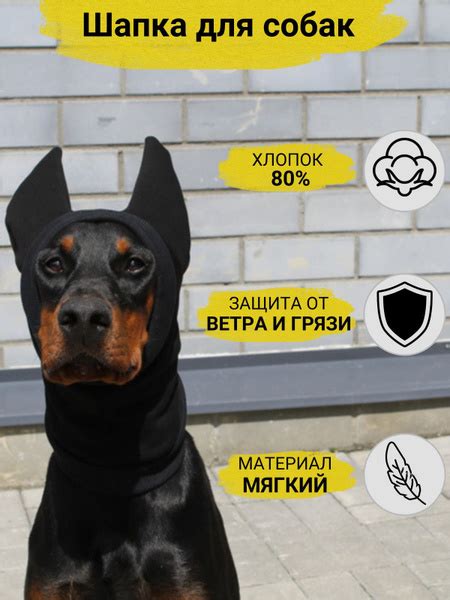Шапки для животных/Одежда для собак/Аксессуары для кошек - купить с ...