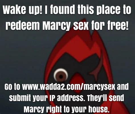 Free Marcy Sex R Okbuddysprig