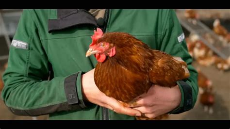 Bonnie Blue Sex Rekord Mit M Nnern Gleichzeitig Hat Folgen Erotikmodel Zeigt Verletzungen