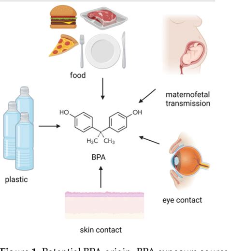 Figure 1 From Current Evidence On Bisphenol A Exposure And The