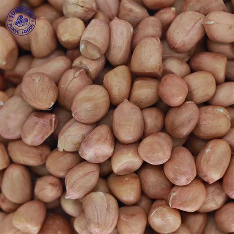 China Raw Peanut Kernels Hsuji Type 35 40 Buy China Raw Peanut