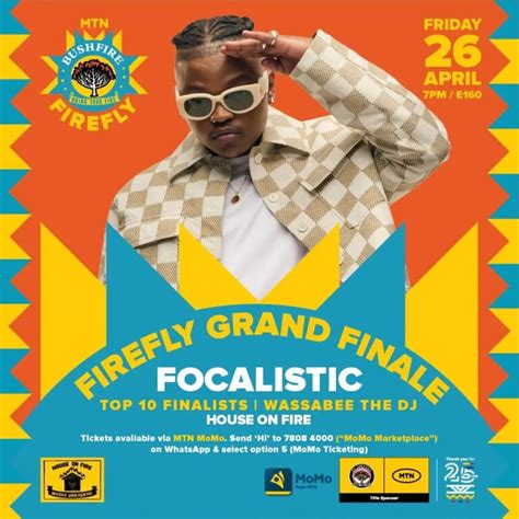 FOCALISTIC Headlines The MTN Bushfire Firefly Grand Finale 2024 Urban