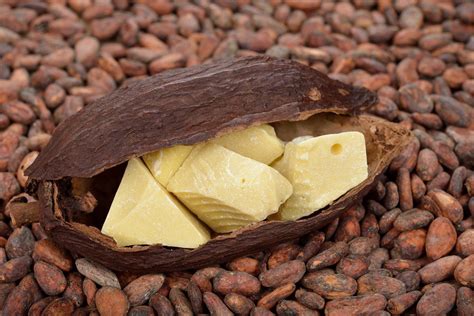 Масло какао: полезные свойства, рецепты и способы применения