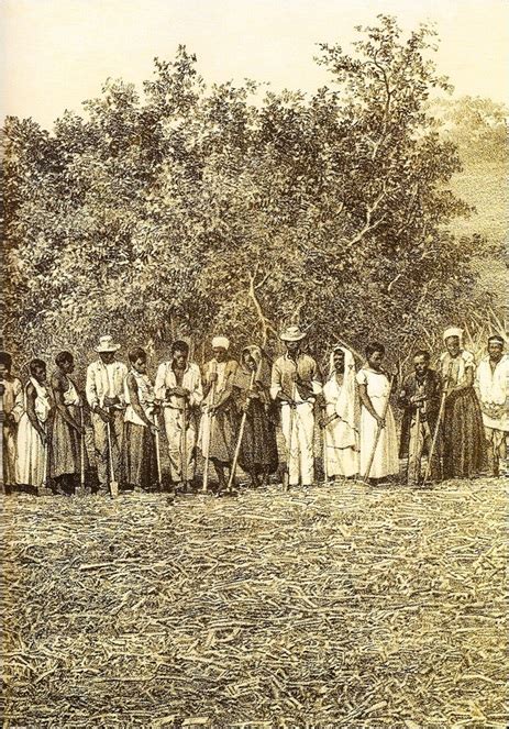 Plantation Life – Sankofa Archives