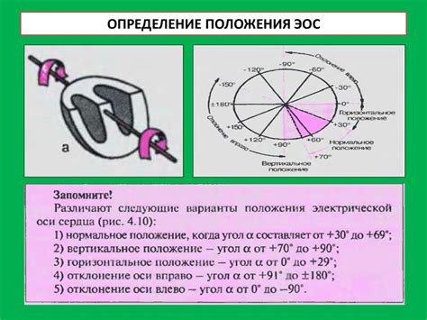 ЭКГ-метод исследования. План расшифровки ЭКГ. ЭКГ-диагностика ...