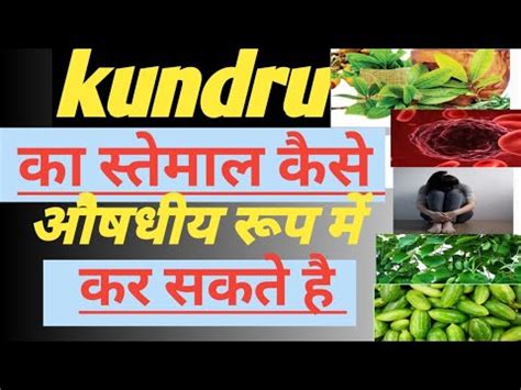 Kundru Khane Ke Anginat Fhayade Counless Benefits Of Eating Kundru