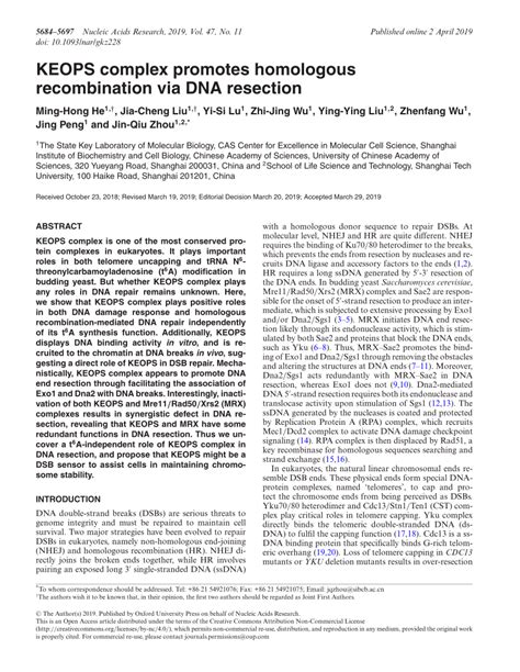 PDF KEOPS Complex Promotes Homologous Recombination Via DNA Resection