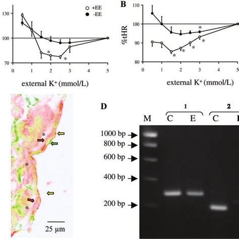 Obligatory role of endocardialmyocardial signaling in cardiac ... 