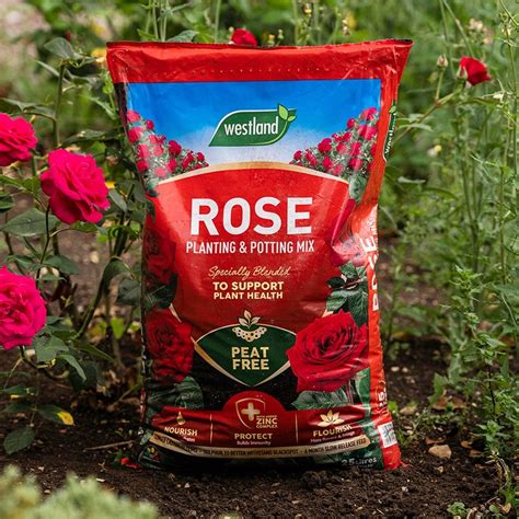 Buy Rose planting & potting mix - peat free: Delivery by Waitrose Garden