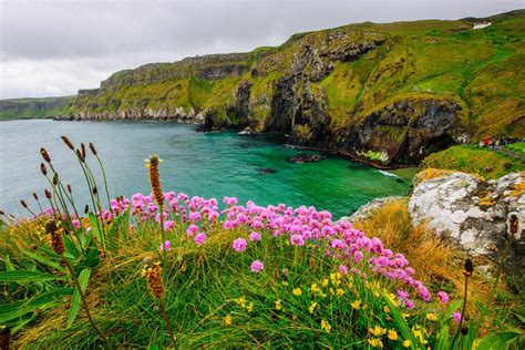 10Best Goes Green ... in Ireland !: Trip Planning Photo Gallery by ...