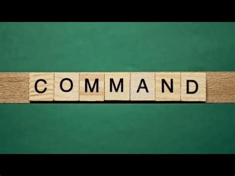 meaning  commands  beginners  kids  english