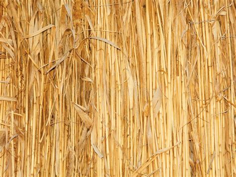 Thatch wall stock image. Image of line, beautiful, background - 3095609