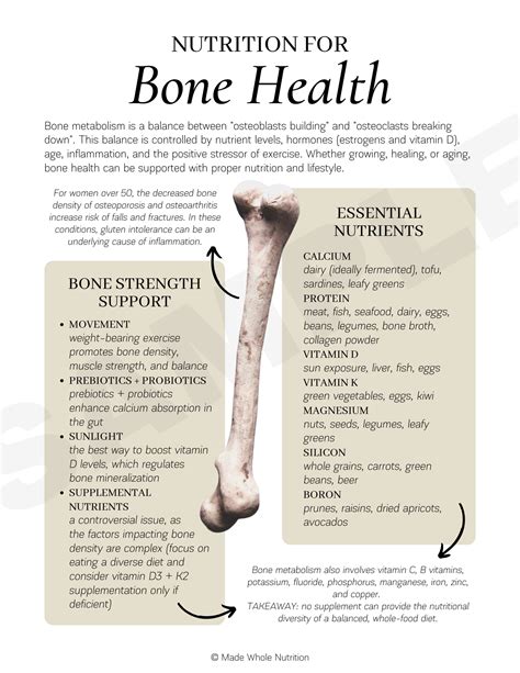 Nutrition for Bone Health Handout — Functional Health Research