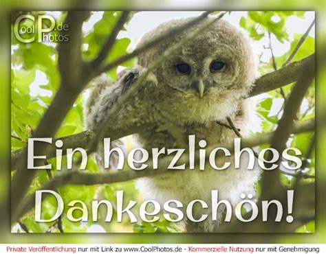 CoolPhotos de Grußkarten Danke Ein herzliches Dankeschön