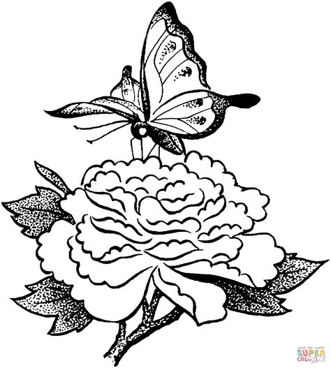 Butterfly On A Flower Coloring Online