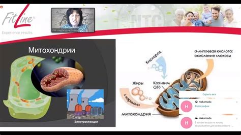 Муноген и мицеллированные Омега и Q10 - решения сердечно сосудистых ...
