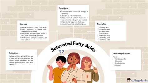 Saturated Fatty Acids: Sources, Functions & Examples