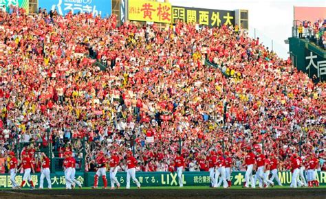 敵地の阪神甲子園球場を赤く染め、cs最終ステージ進出を決めた広島の選手に、大喜びで声援を送るファン＝2013年10月13日（20 37）ーカープ25年の歩み：朝日新聞デジタル