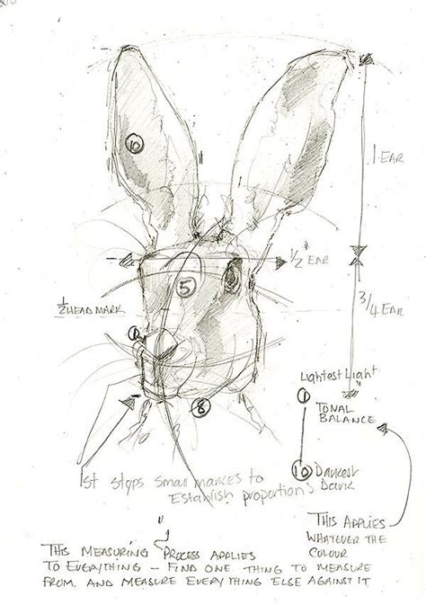 Pin By Anna Laurenson On Easter In 2024 Rabbit Art Sketches Rabbit