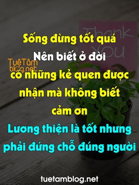 Ghim của cu li trên hot Nữ diễn viên Nữ thần Diễn viên
