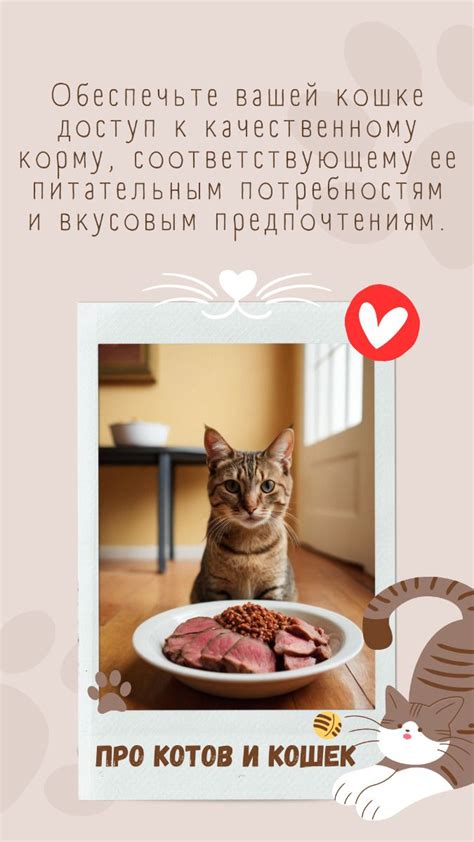 Качественный корм для вашей кошки: здоровье и вкус. en 2024