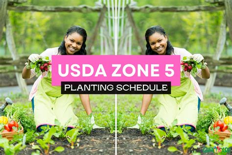 Zone Planting Schedule For Thegrow