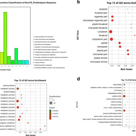 KEGG Orthology KO Classification Of 84 Differentially Expressed