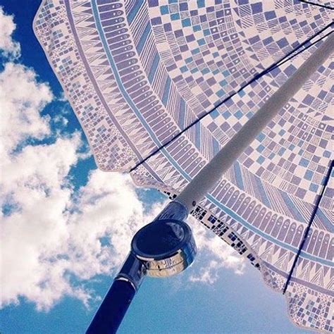 Beach Babe Essentials Basilbangs Umbrellas And Loverugs