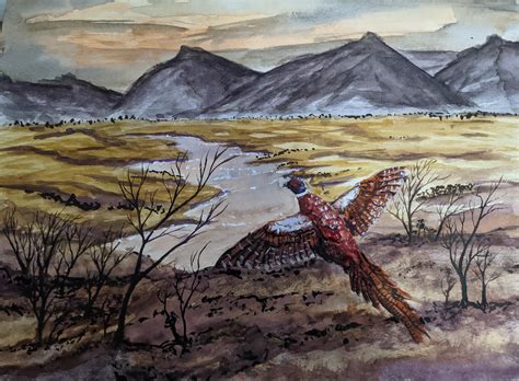 Pheasant : r/Watercolor