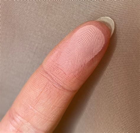 Дьяволически соблазнительная палетка Naughty Nude от Huda Beauty Отзывы покупателей Косметиста