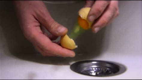 What Happens If you open an egg in water - YouTube