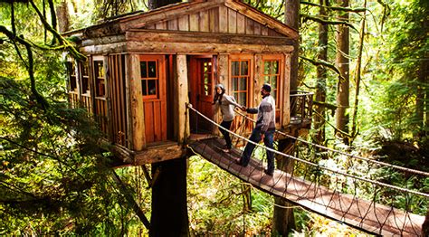 The Best Treehouse Hotels In The World For The Inner Child In Everyone