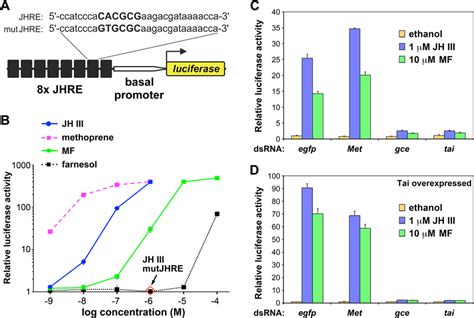 Transcriptional Activation By Jh Iii Methyl Farnesoate Mf And