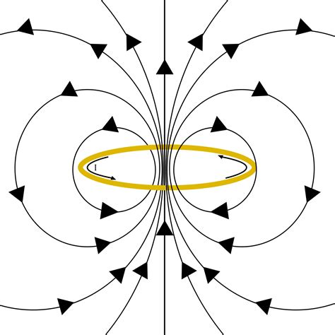 Draw the field lines for the electric dipole and the magneti | Quizlet